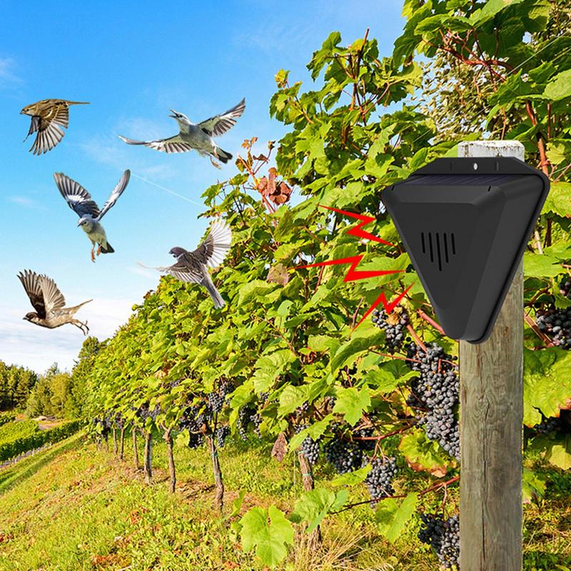 Waterproof Solar bird repeller - Fish Alarm review and price